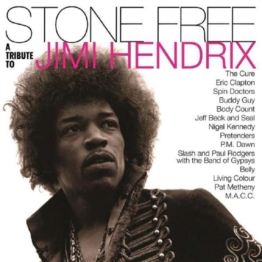 Various-Stone Free-A Tribute To Jimi Hend - Music On V Movlp 1313 - (Vinyl (LP´s) / Allgemein...